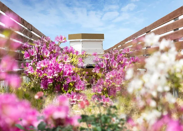 Hotel Oakwood Yeouido Park