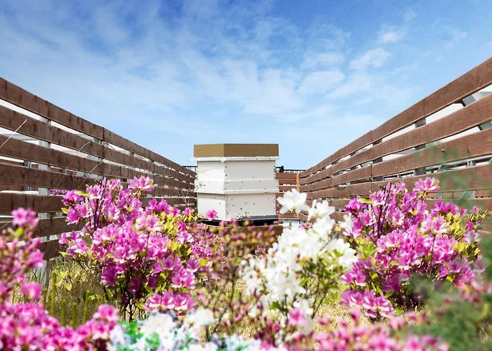Hotel Oakwood Yeouido Park Seoul