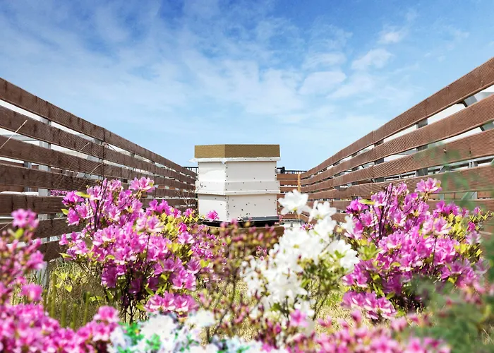 Oakwood Yeouido Park ホテル 3*